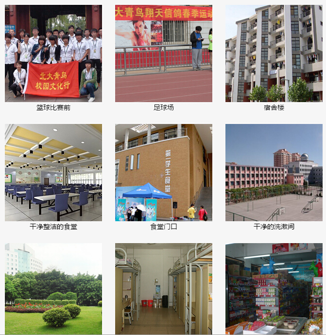 鄭州北大青鳥翔天信鴿地址及學校環境