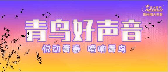 S(dng)ഺBݱBB𺳁u