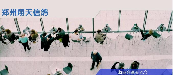 鄭州北大青鳥翔天信鴿第五屆優秀畢業生就業分享會