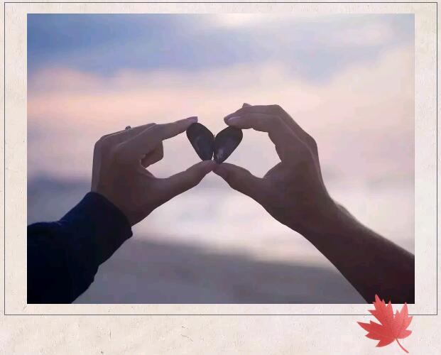 河南學習軟件學校選擇哪家編程技術(shù)學院呢