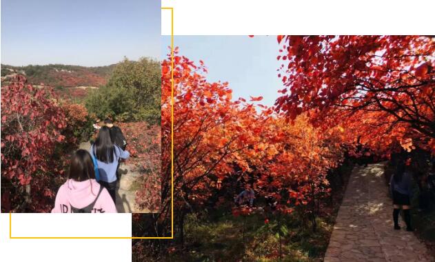 鄭州北大青鳥怎么樣學員帶你走進青鳥