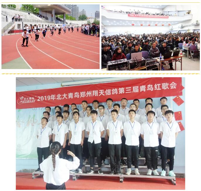 北大青鳥到底靠譜不靠譜