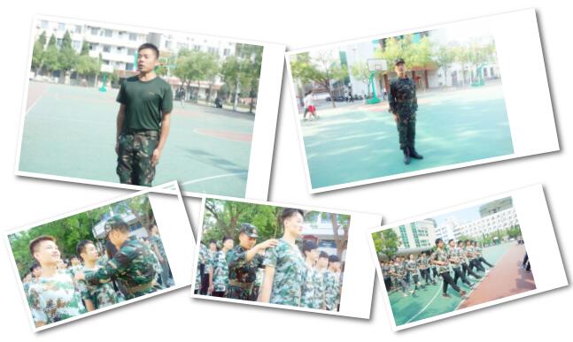 鄭州北大青鳥翔天信鴿學校到底怎么樣真實評價