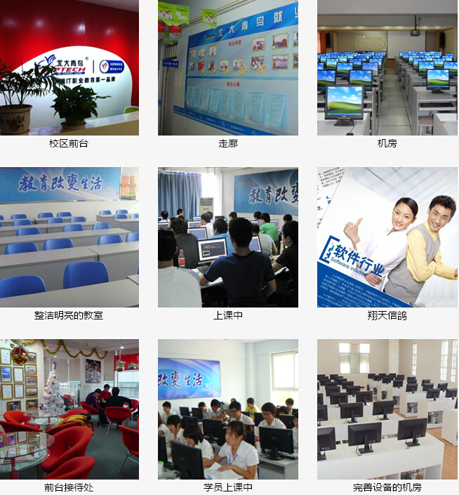 鄭州北大青鳥翔天信鴿中心環境