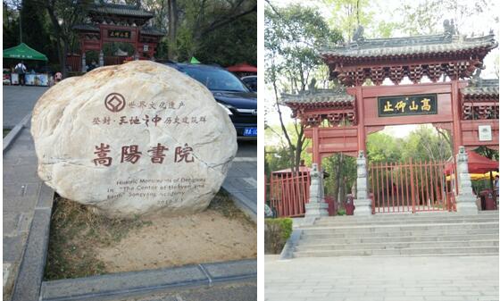 青山綠水任我行,只緣身在信鴿中