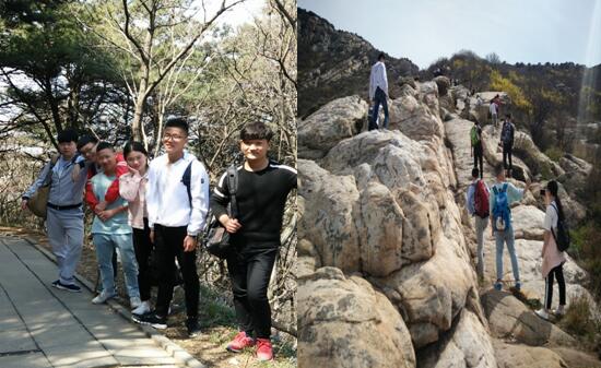 青山綠水任我行,只緣身在信鴿中