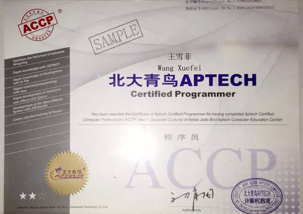 程序員證書