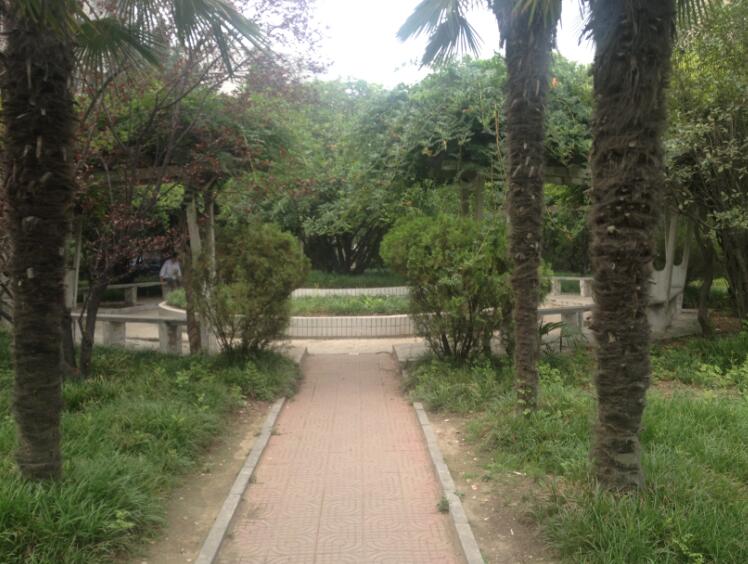 鄭州北大青鳥翔天信鴿校區中心花園